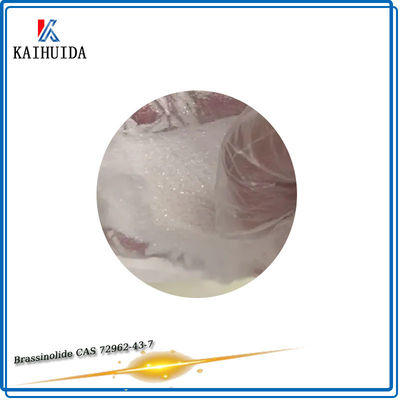 Химикаты Brassinolide 90% TC CAS 72962-43-7 регулятора выращивания растения ODM агро
